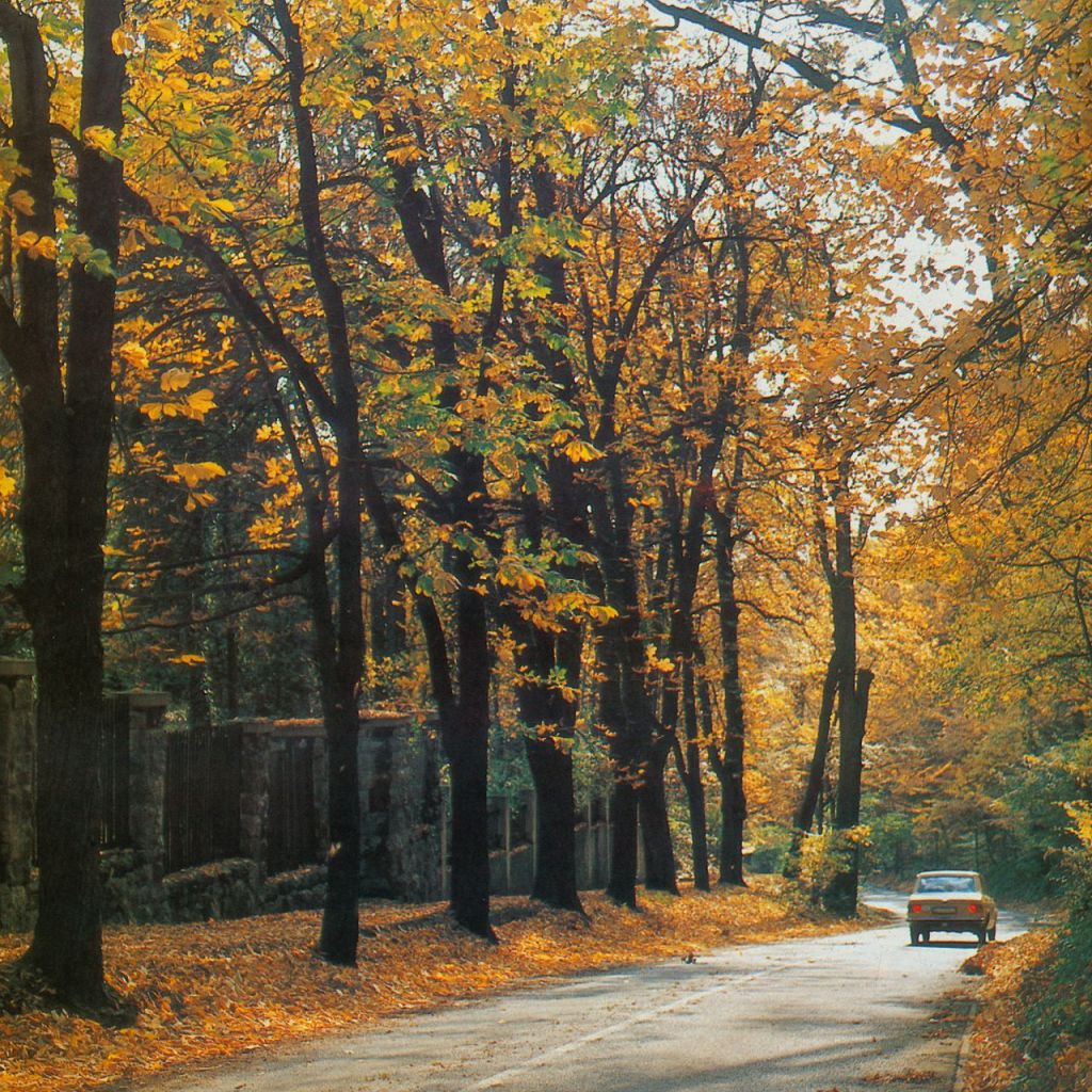 Tuškanac, oko 1985. godine
